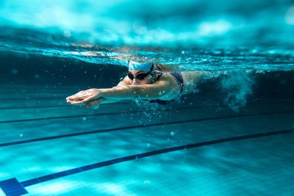 Българската федерация по плувни спортове прие нов устав на днешното