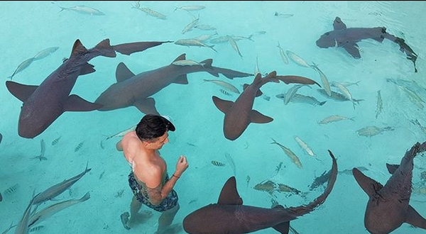 Футболният национал Михаил Александров плува с акули на Бахамите Защитникът