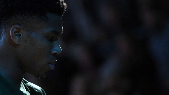 Гръцката звезда на Милуоки Янис Адетокумбо се пошегува че съществува