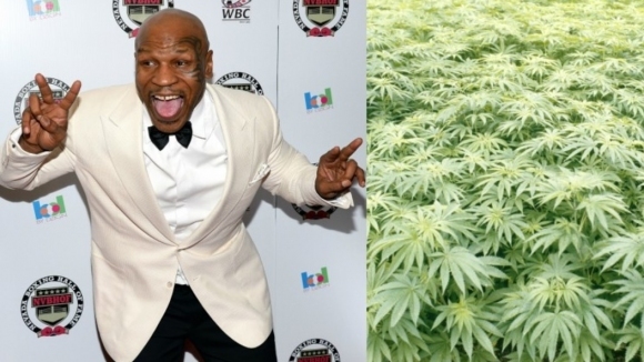 Бившият световен шампион по бокс Майк Тайсън ще отвори марихуаново
