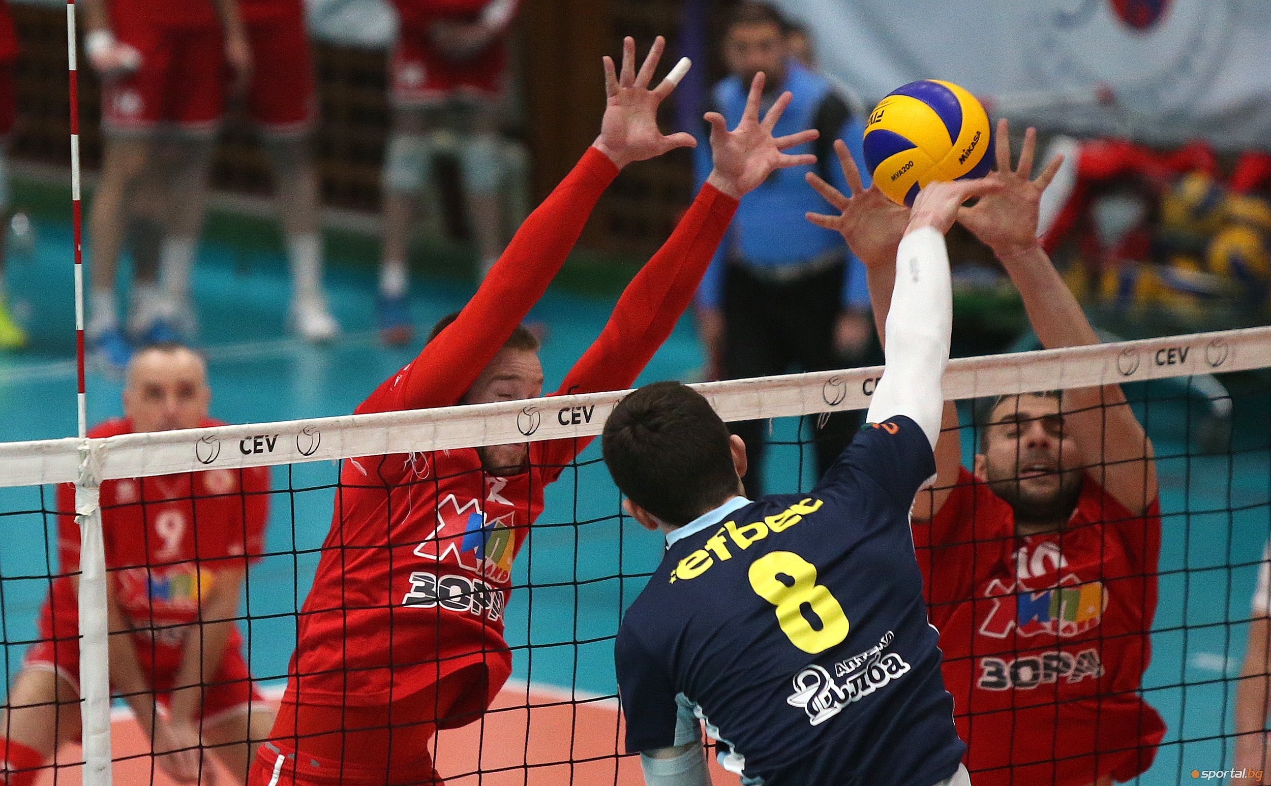 Волейболните отбори на Монтана и ЦСКА излизат тази вечер в