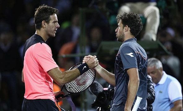 Хуан Мартин Дел Потро постигна трудна победа над Робин Хаасе