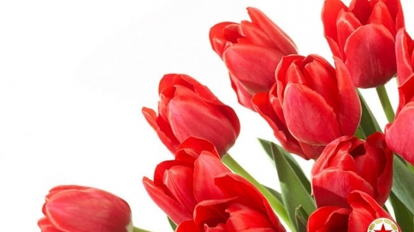 Ръководството на ЦСКА София поздрави всички празнуващи имен ден на днешния