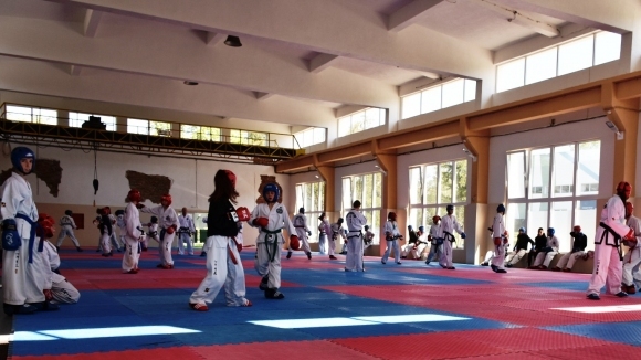 Най титулуваният клуб по таекуон до ITF в България Фолкън