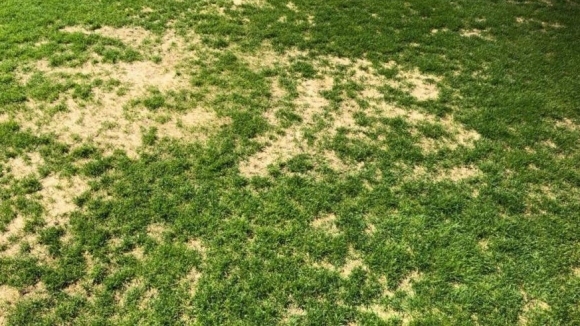 Снежна плесен порази тренировъчното игрище в Нижний Новгород където трябва