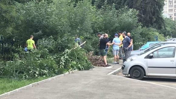 Феновете на Левски се включиха в акцията Да почистим нашия