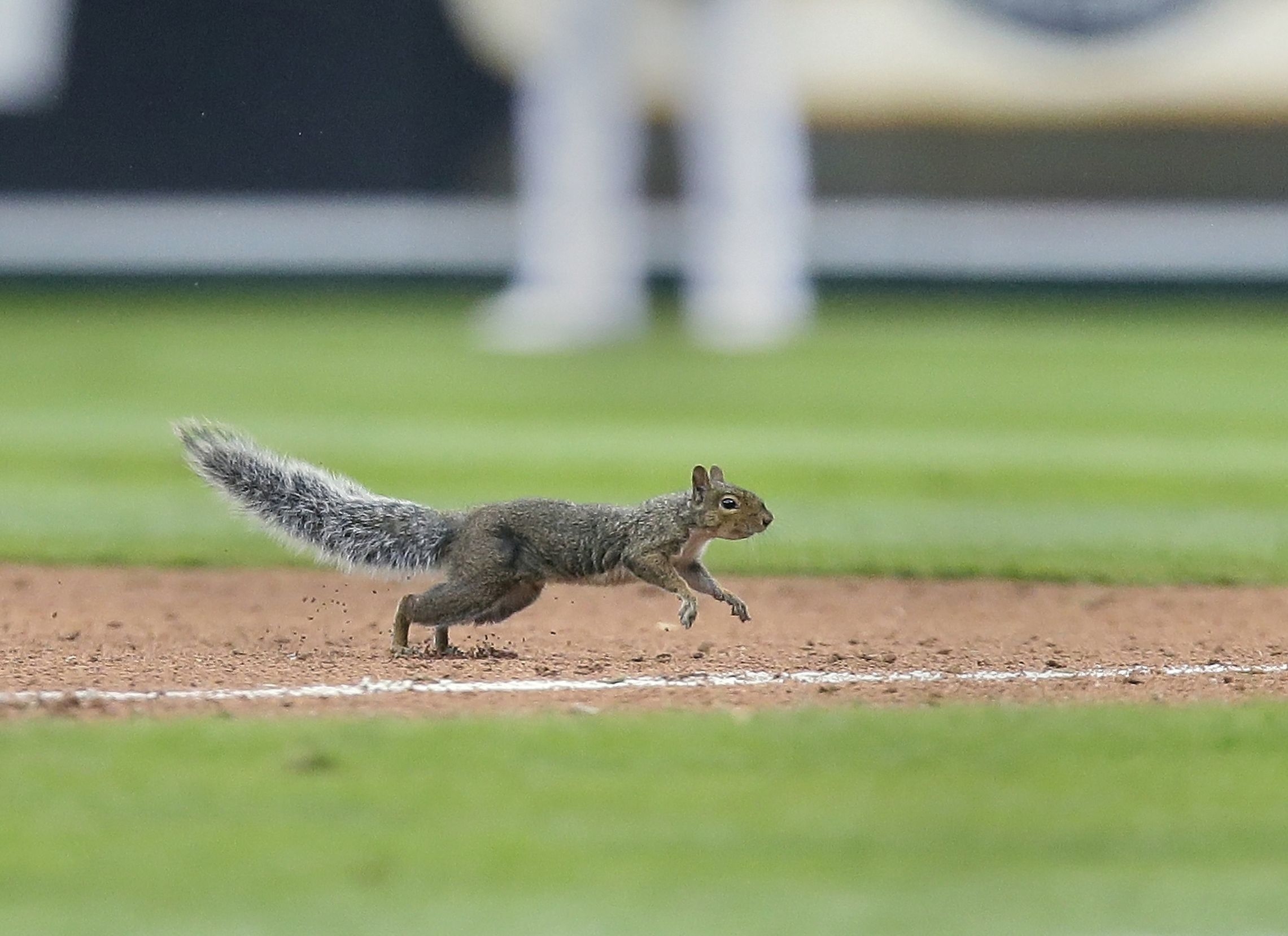Сейнт Луис Кардиналс имаше нужда от допълнително вдъхновение за да