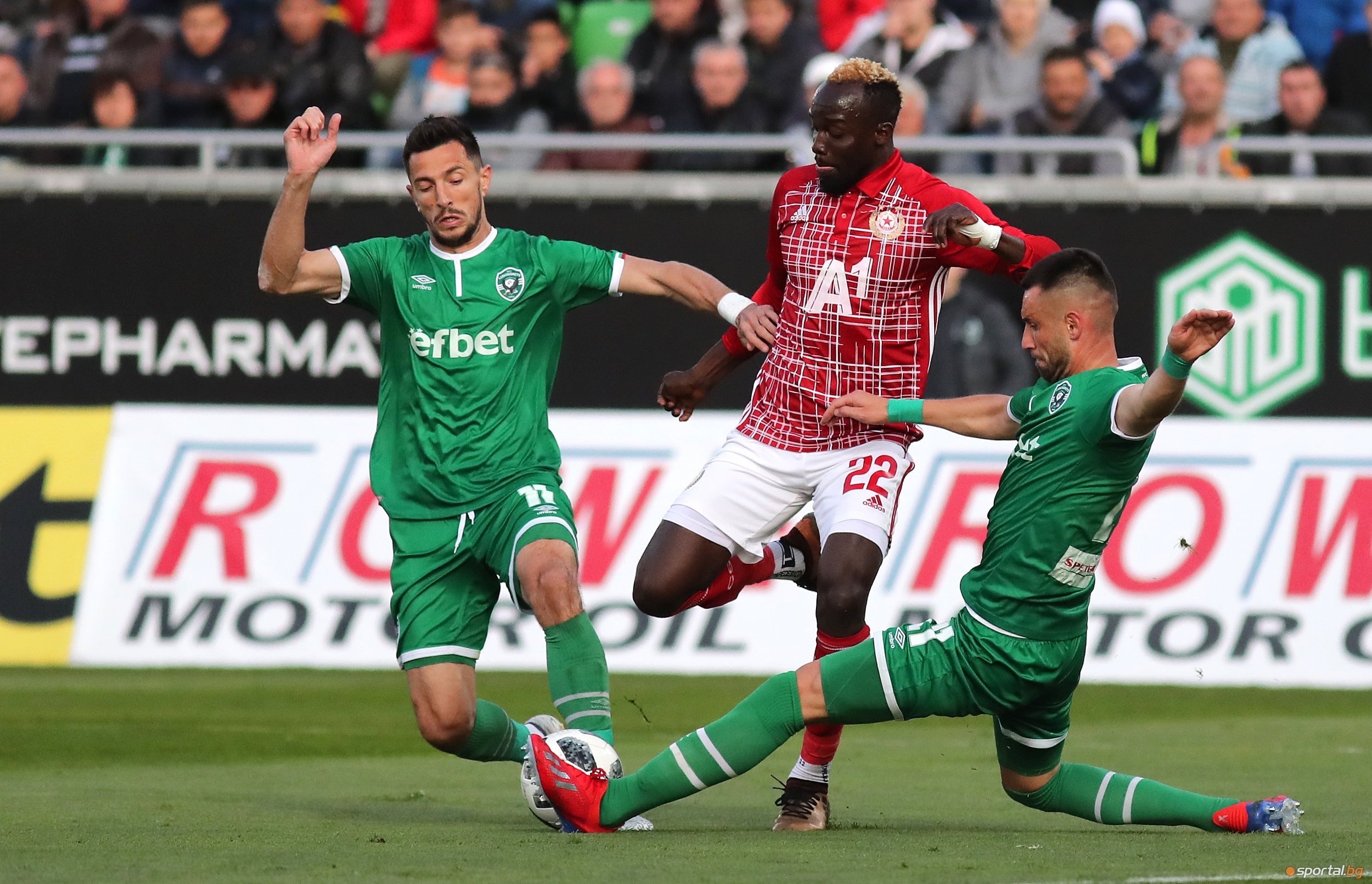 Легендарният стрелец Петър Жеков излезе с интересно изказване след четвъртфинала