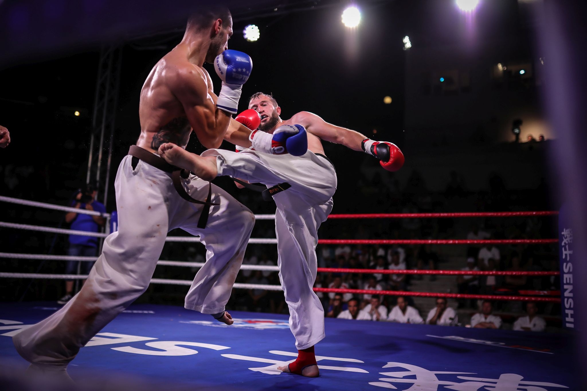 Едни от най големите имена в бойните спортове на световно ниво