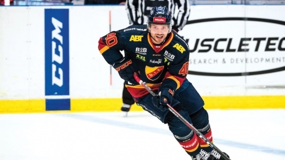 Асоциацията по хокей на лед в Швеция спря шампионата в