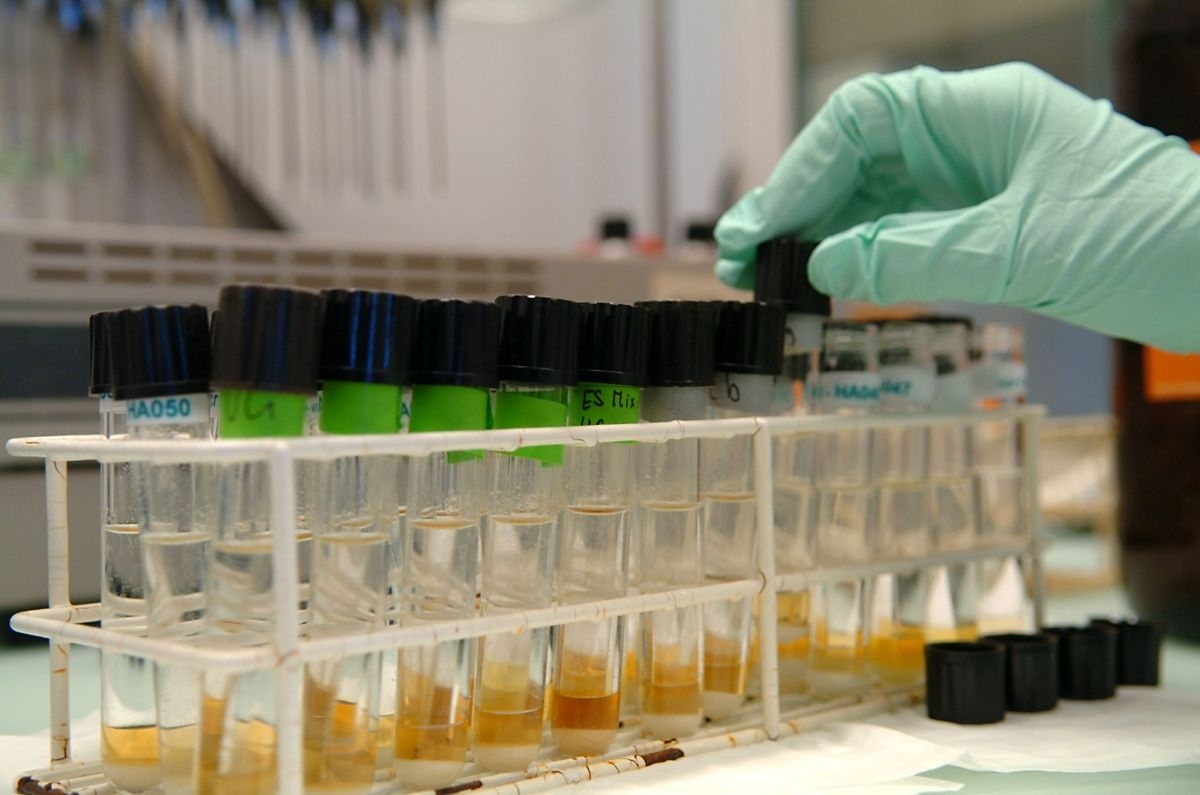 Германската антидопингова агенция НАДА планира да тества футболисти ако първенството