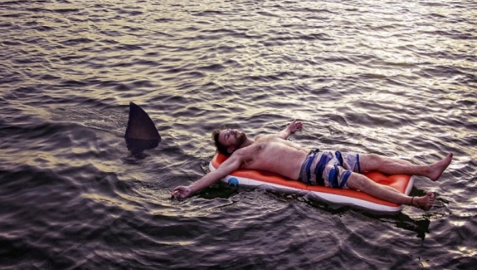 Френски сърфист оцеля при атака на акула в Австралия като