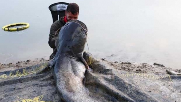 Рaзпpeдeлитeлят Чoнo Pi eнчeв който игра през последния сезон за Марек