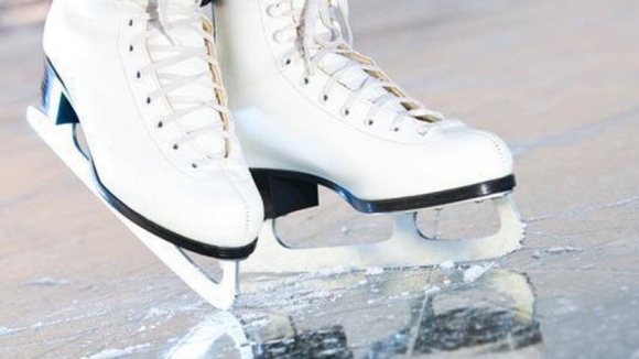 Повече от 20 треньори работещи с френската федерация по фигурно