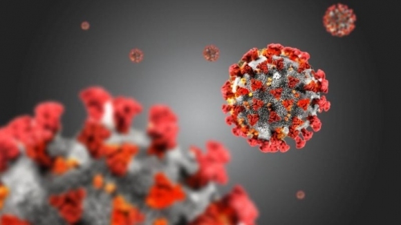 Бразилски съдия отмени мача от първенството на страната между Палмейрас