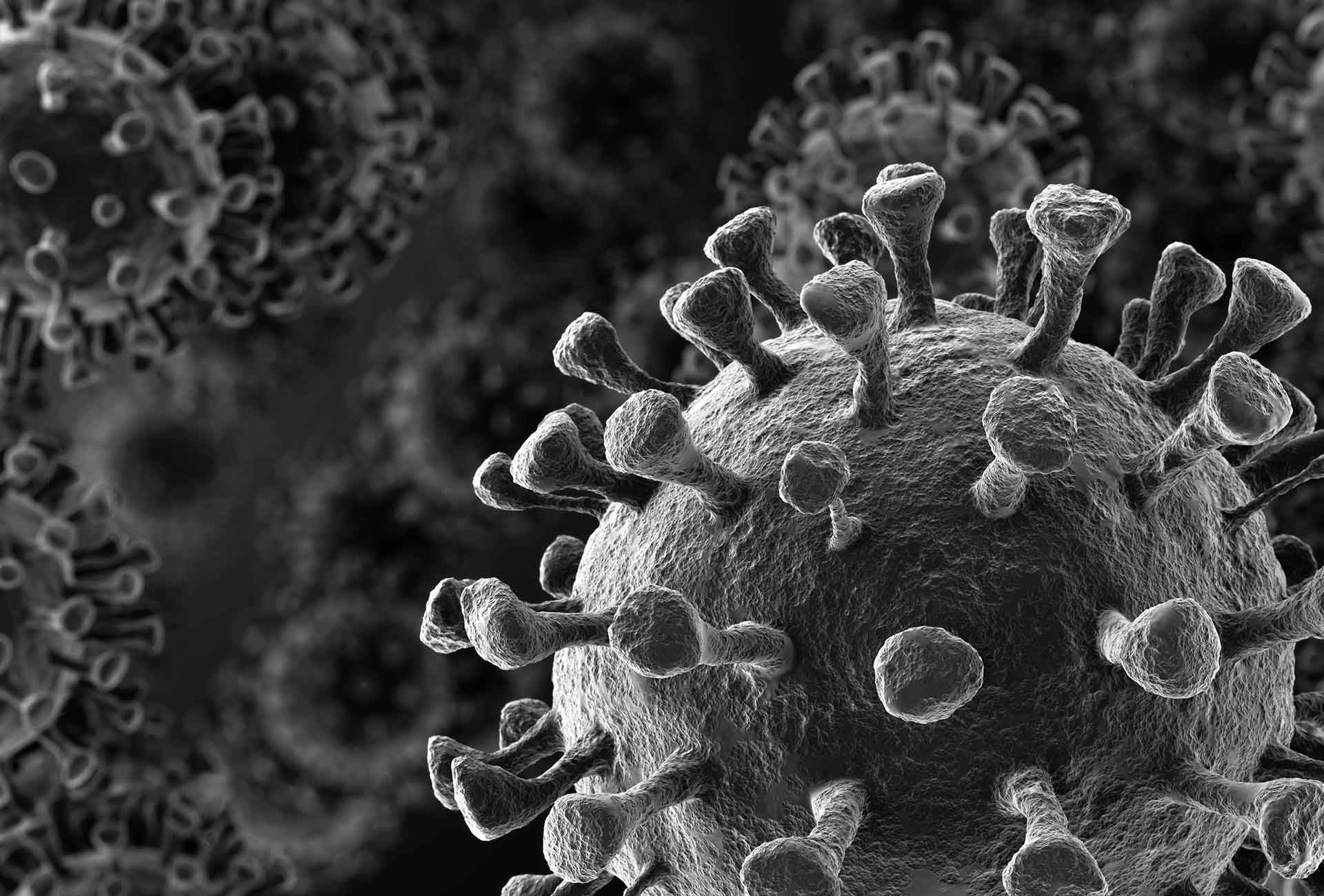 Нов черен рекорд отбелязва коронавирусът в България. За денонощие живота
