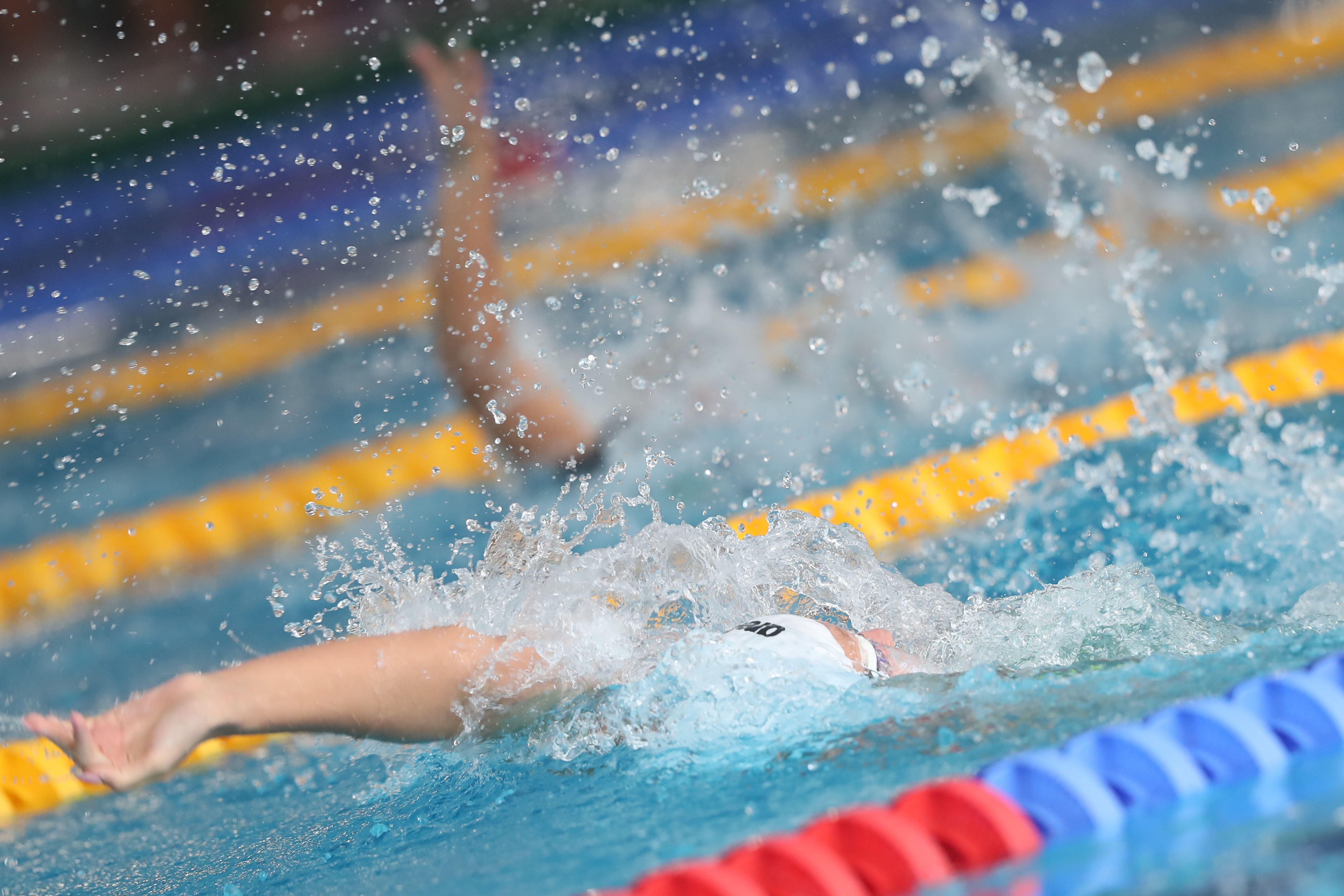 През октомври Германската плувна федерация обяви че отменя националния шампионат