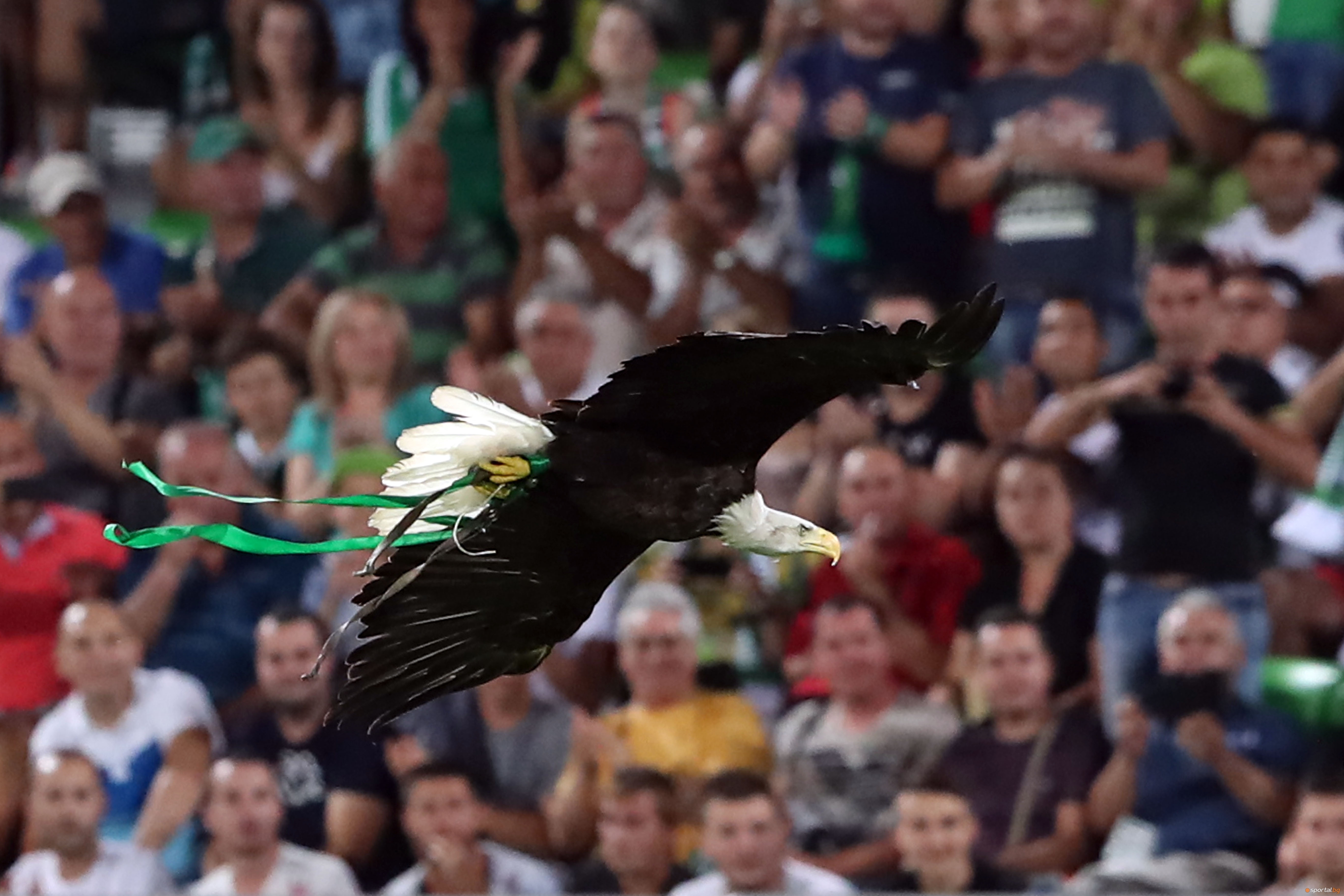 От Лудогорец съобщиха че билетите за домакинството на Ботев Пловдив